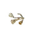 M06